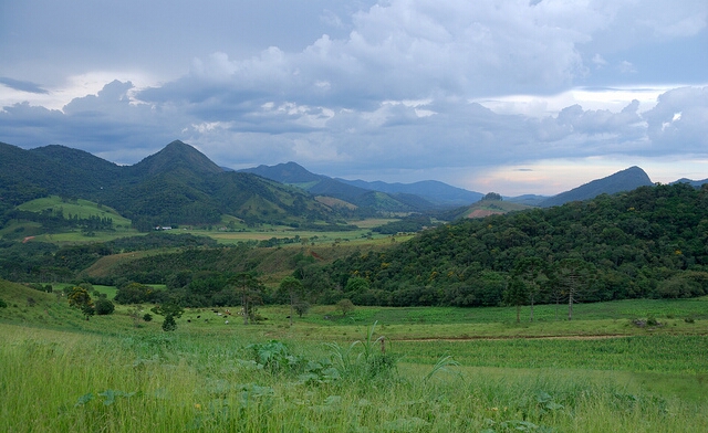 Bocaina de Minas